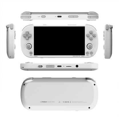 Trimui Smart Pro Bundle